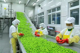 慈溪被认定为全国首批 省唯一国家现代农业产业园