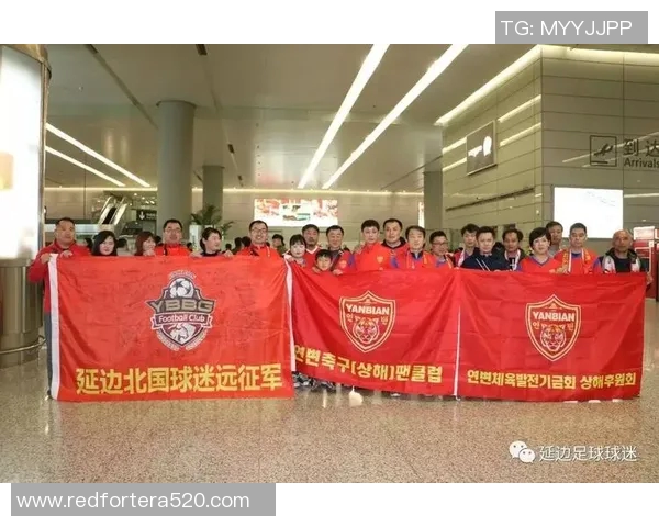 延吉阿里郎足球明星阵容揭秘及其在中国足球的影响力分析 延吉阿里郎足球明星阵容揭秘及其在中国足球的影响力分析