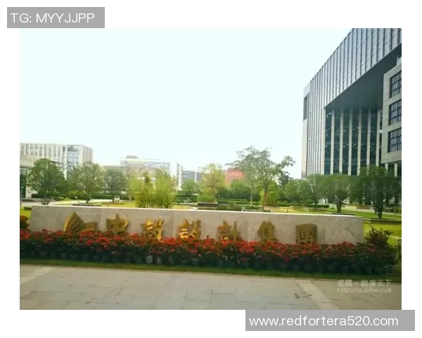 成都排球队在联合会杯中的拼搏历程与荣耀时刻全景回顾