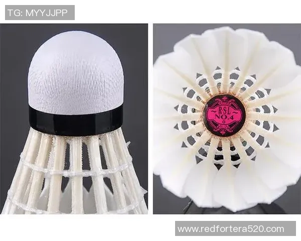 广州羽毛球队力量表现数据分析揭示运动员潜力与训练效果的深度关系