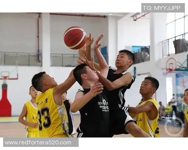 杨敏专访:从青涩球员到篮球传奇的成长之路回顾 杨敏专访:从青涩球员到篮球传奇的成长之路回顾