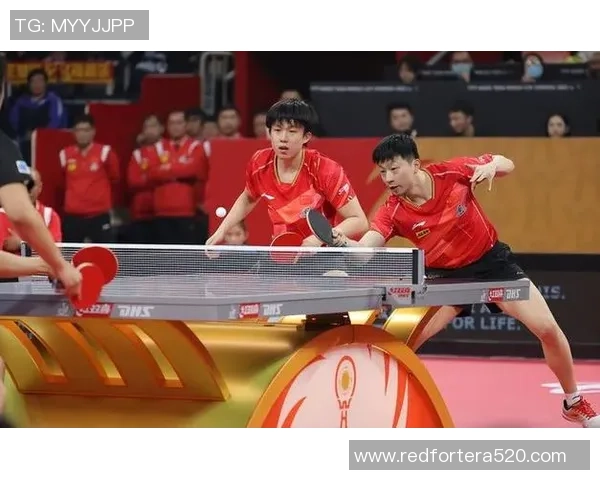深圳乒乓球队总决赛表现分析：个人能力与团队协作的完美结合