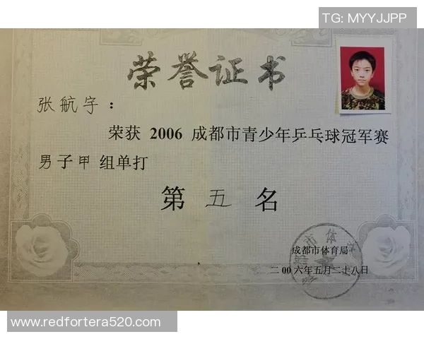 深入分析成都乒乓球队的运营策略与发展模式探讨