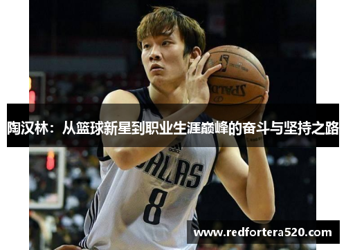 陶汉林：从篮球新星到职业生涯巅峰的奋斗与坚持之路